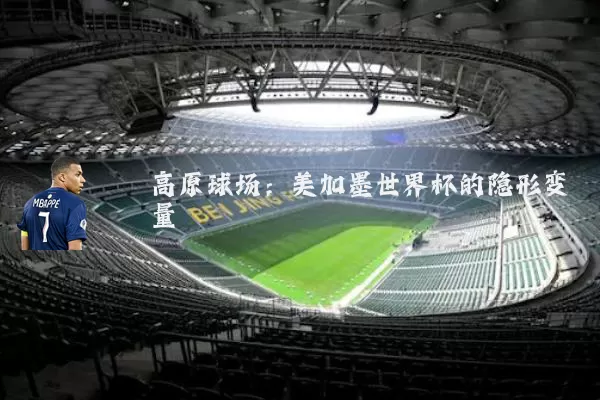 高原球场:美加墨世界杯的隐形变量